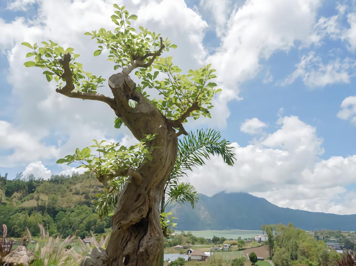 Batur Cliff Panorama Βίλα Baturaja  Εξωτερικό φωτογραφία